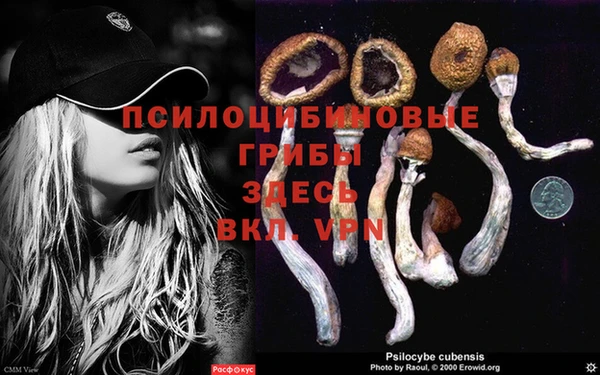 метадон Горняк