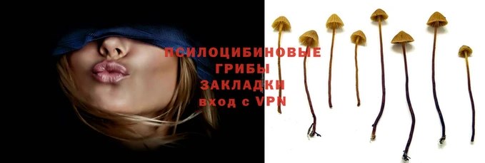 соль курить ск Вязьма