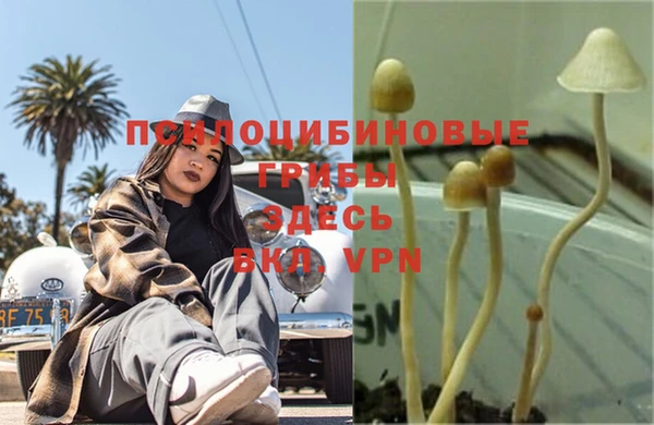 соль курить ск Вязьма
