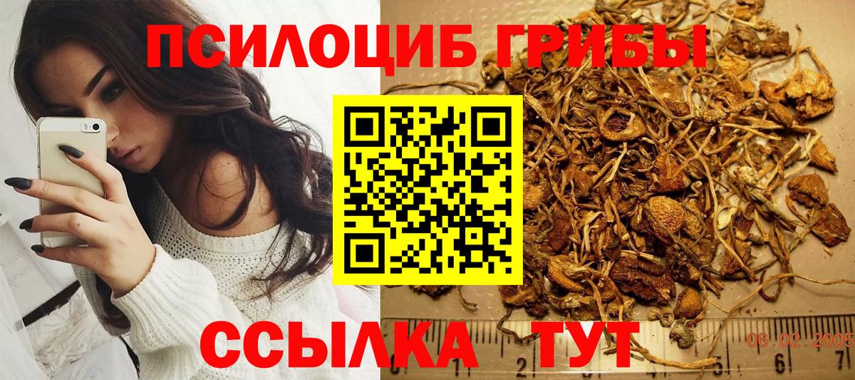 Ноябрьск  Галлюциногенные грибы Psilocybe  Вход с VPN 