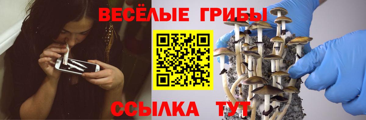 ГАШ  Амфетамин кристаллы  МЕФ кристаллы  Ноябрьск  Экстази  LSD-25  Кокаин  Вход с VPN 
